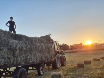 Bauernhof für 5 Personen in Ellenhausen, Westerwald, Bild 2