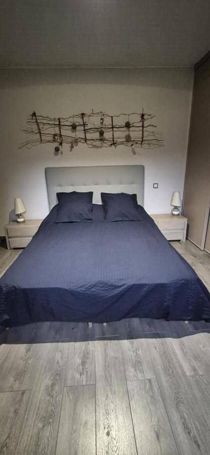 Location de vacances pour 2 personnes, avec vue et terrasse à Saint-Mars-la-Brière - 2