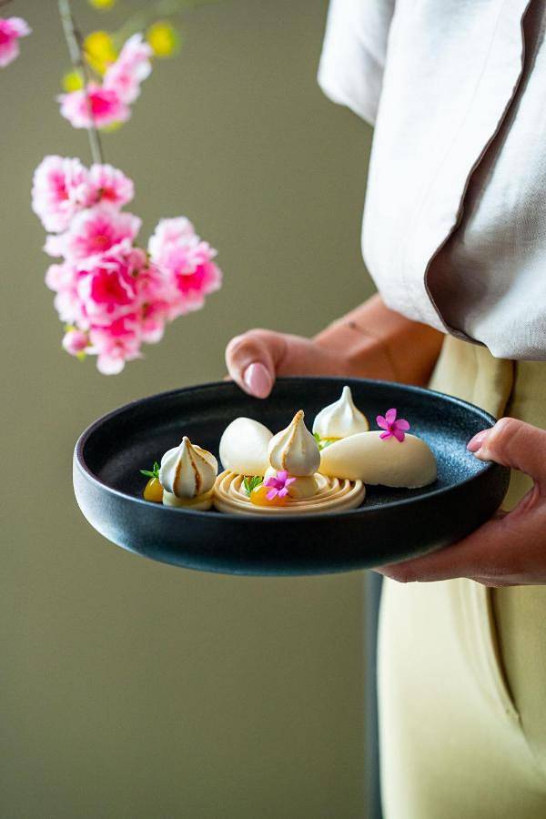 Hôtel pour 2 personnes, avec terrasse, animaux acceptés à Wageningue - 3