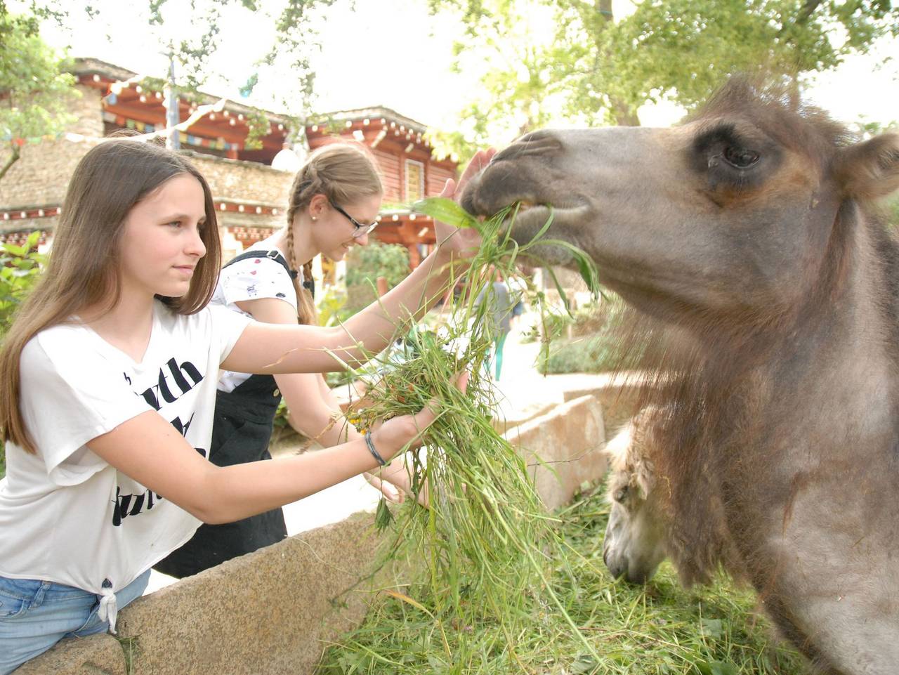 Ganze Ferienwohnung, Naturschutz-Tierpark Görlitz, Ferienwohnung Pandahöhle - Urlaub im Zoo: Pandahöhle in Görlitz, Oberlausitz-Niederschlesien