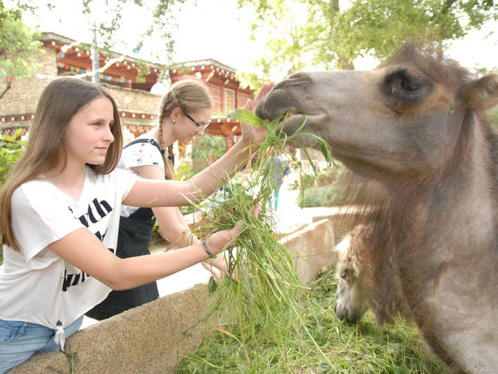 Ferienwohnung für 6 Personen, mit Garten, kinderfreundlich am Berzdorfer See - 4