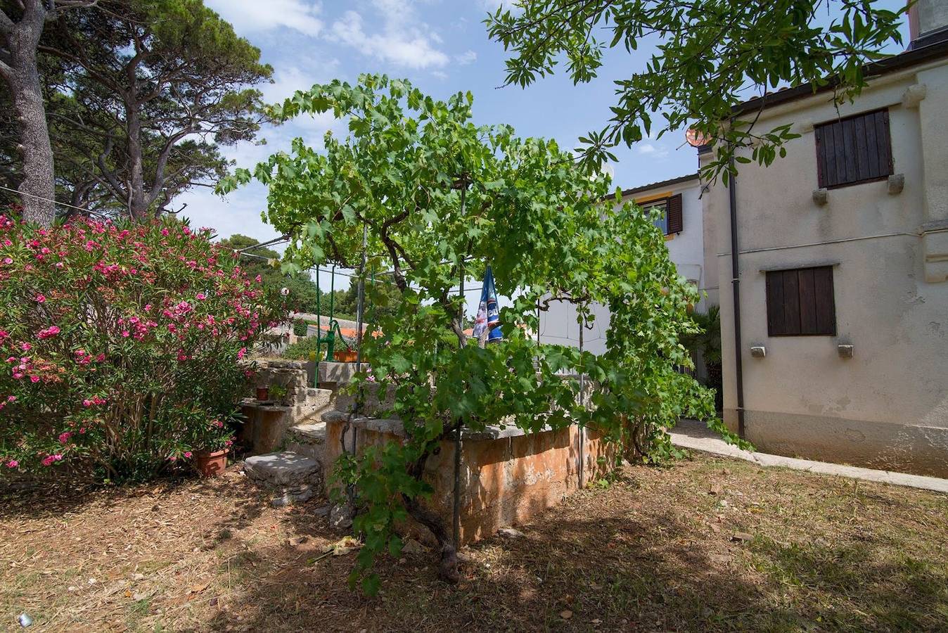 Ganze Wohnung, Bastinac 2 in Veli Losinj, Lošinj (Kvarner Bucht)