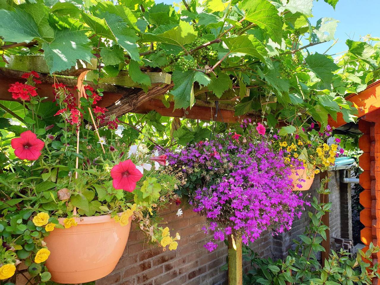 Ferienhaus in Egmond Aan Den Hoef mit Privater Terrasse in Egmond aan den Hoef, Niederländische Nordsee