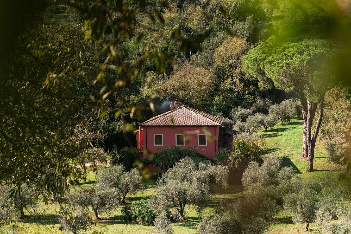 Villa inmitten von Oliven- und Haselnussbäumen in der Region Tuscia im Latium in Manziana, Braccianosee