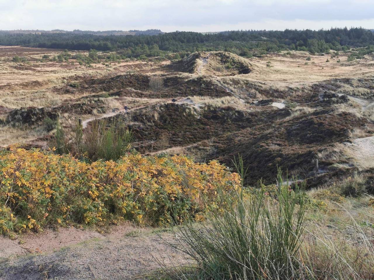 6 Personen Ferienhaus in Henne in Henne, Varde