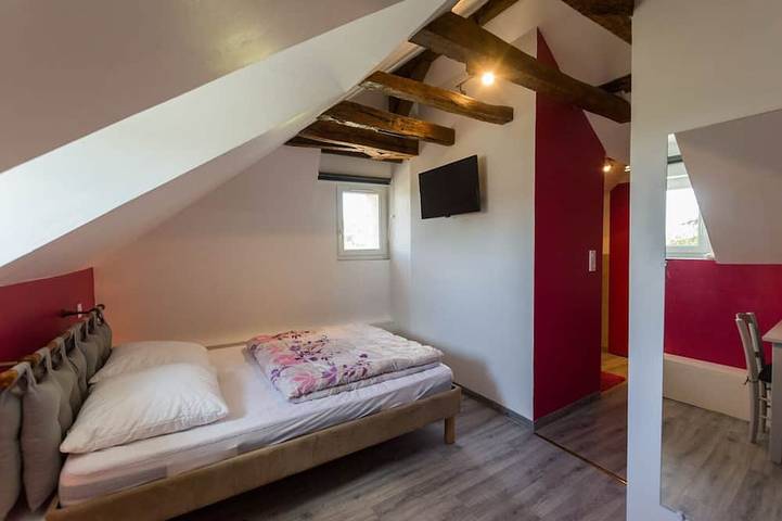 Location de vacances pour 11 personnes, avec jardin et terrasse à Savigné-sous-le-Lude - 2