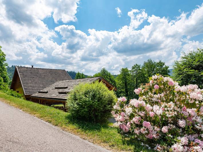 Chalet ensoleillé dans les Hautes Vosges avec terrasse, local vélos et skis, charges incluses in Thiéfosse, Parc naturel régional des Ballons des Vosges