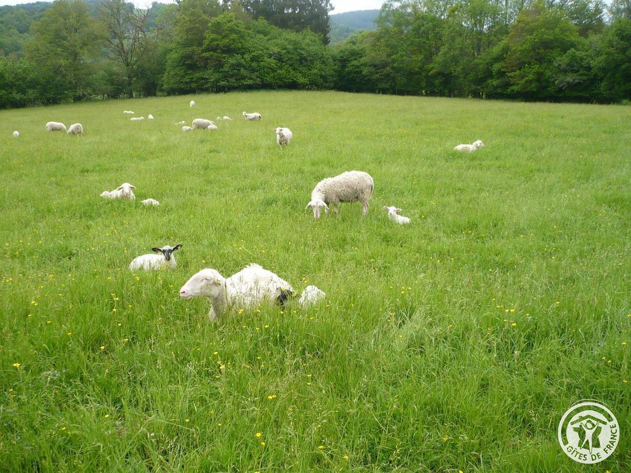 Le Freyssinet in Tarnac, Région d'Ussel