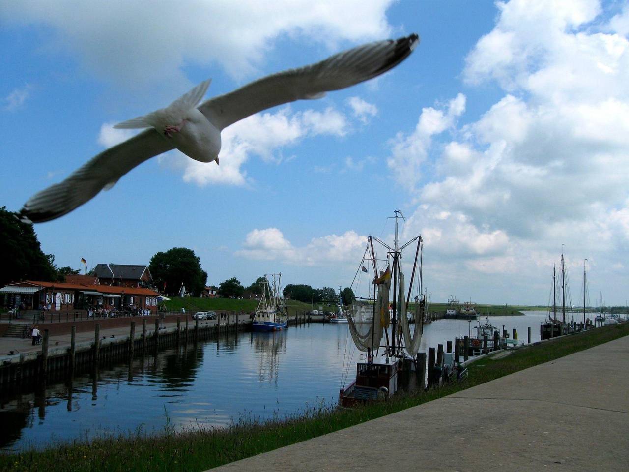 Bild 1