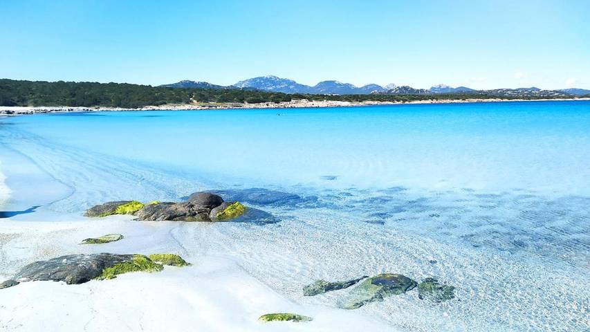 Appartamento vacanze per 6 persone, con giardino e panorama nonché piscina, con animali domestici - 1