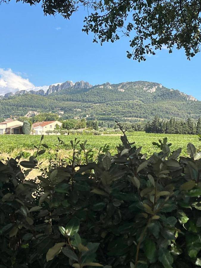 Location de vacances pour 8 personnes, avec jardin et piscine ainsi que terrasse et vue à Gigondas - 3