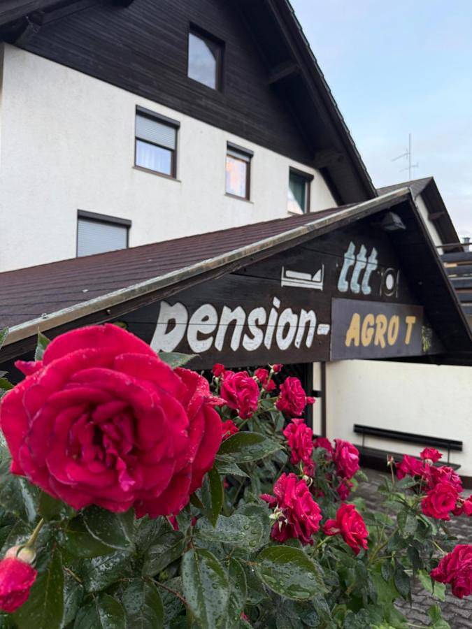 Maison d’hôte pour 2 personnes, avec terrasse et jardin à Bled - 4