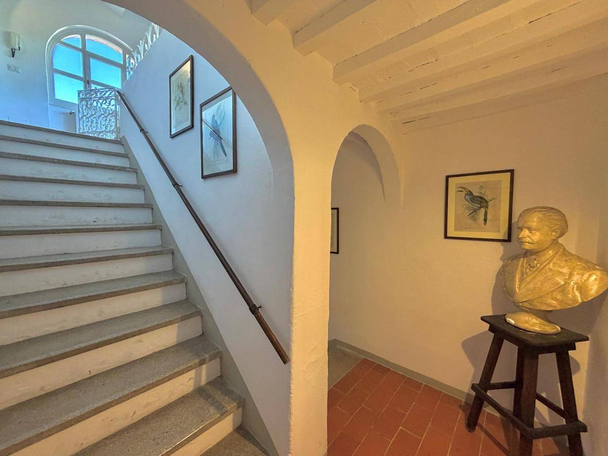 Casa Belvedere - private garden, 6pax in Bolgheri, Castagneto Carducci