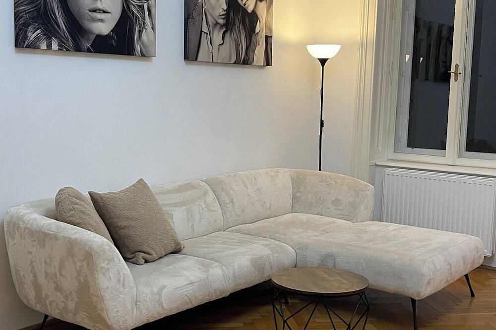 Ganze Wohnung, Marvelous 2-Bedroom Apartment in the Heart of Vienna in Wien Innenstadt, Wien