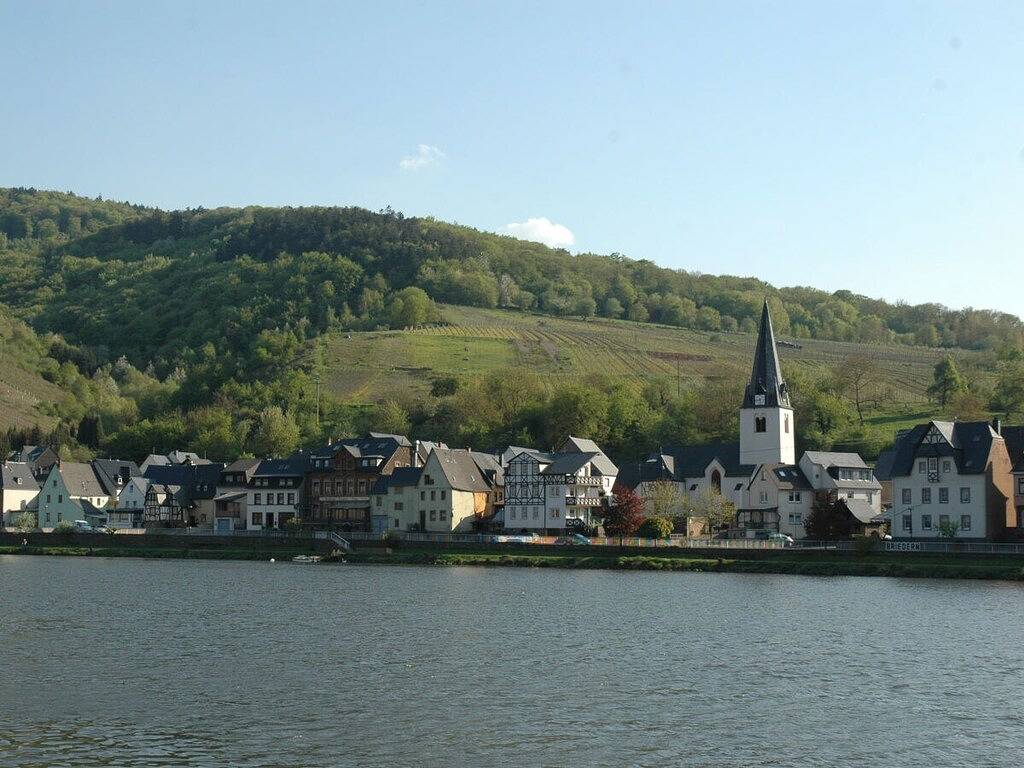 Ferienhaus in Briedern mit Schwimmbecken in Briedern, Cochem-Zell
