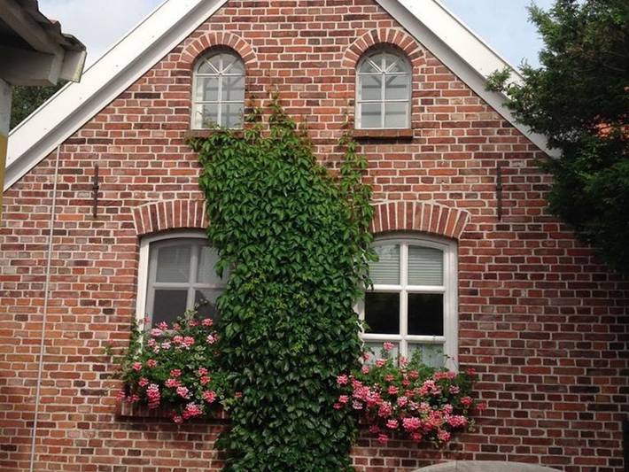 Ferienhaus für 4 Personen, mit Terrasse und Garten in Emden