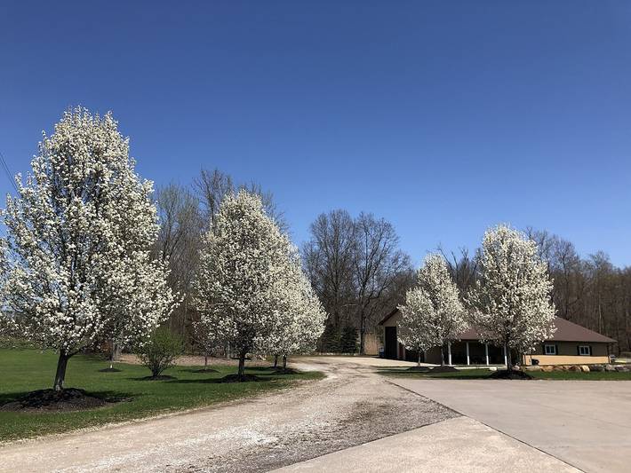 Bed and breakfasts for 8 people, with garden in Ohio