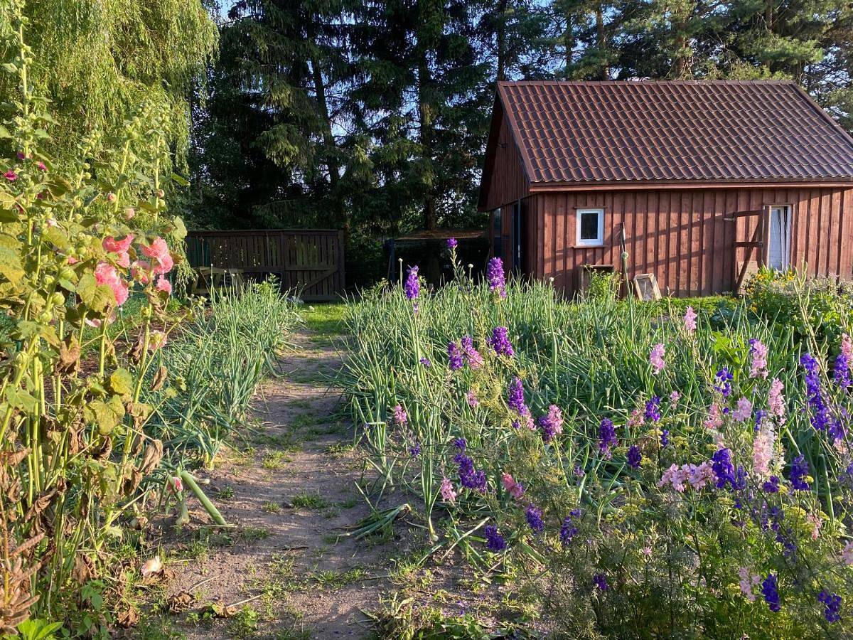 Agroturystyka Omelia in Bory Tucholskie