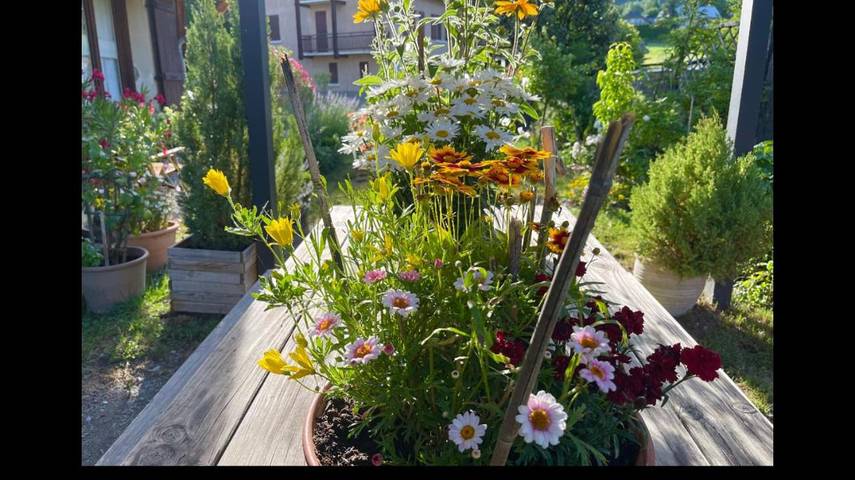 Chambre d’hôte pour 2 personnes, avec jardin et vue, animaux acceptés