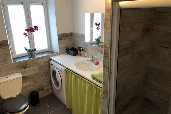 Gîte pour 6 personnes, avec terrasse et jardin, animaux acceptés à Puylaurens - 4