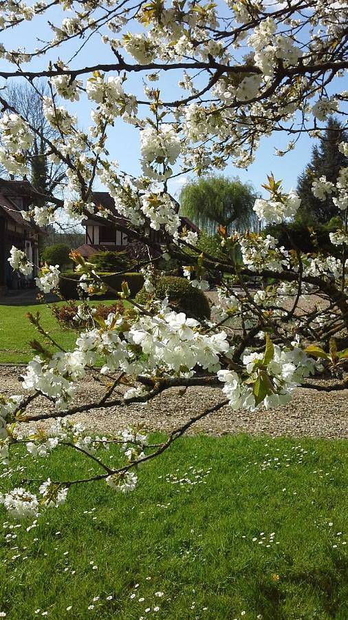 Location de vacances pour 4 personnes, avec terrasse et vue à Chalifert - 2