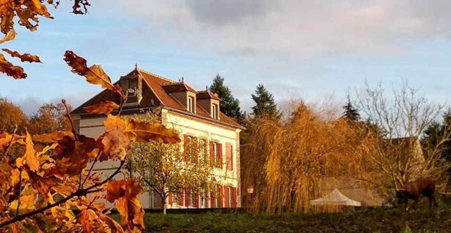 Location de vacances pour 27 personnes, avec jardin ainsi que sauna et vue, animaux acceptés à Villeneuve-sur-Yonne - 4