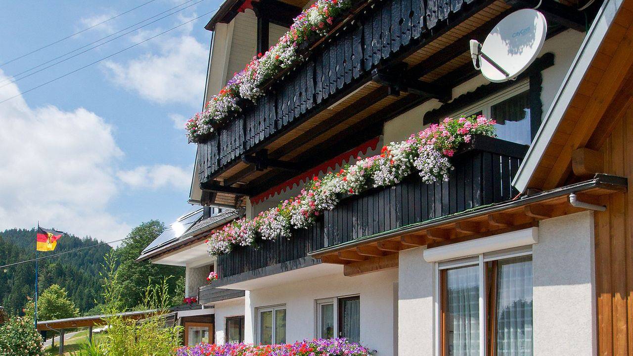 Ganze Ferienwohnung, Ferienwohnung für 4 Personen (60 m²) in Bad Rippoldsau-Schapbach in Bad Rippoldsau-Schapbach, Mittlerer Schwarzwald