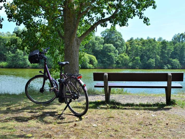Ferienhaus für 5 Personen, mit Terrasse und Garten in Hooksiel - 4