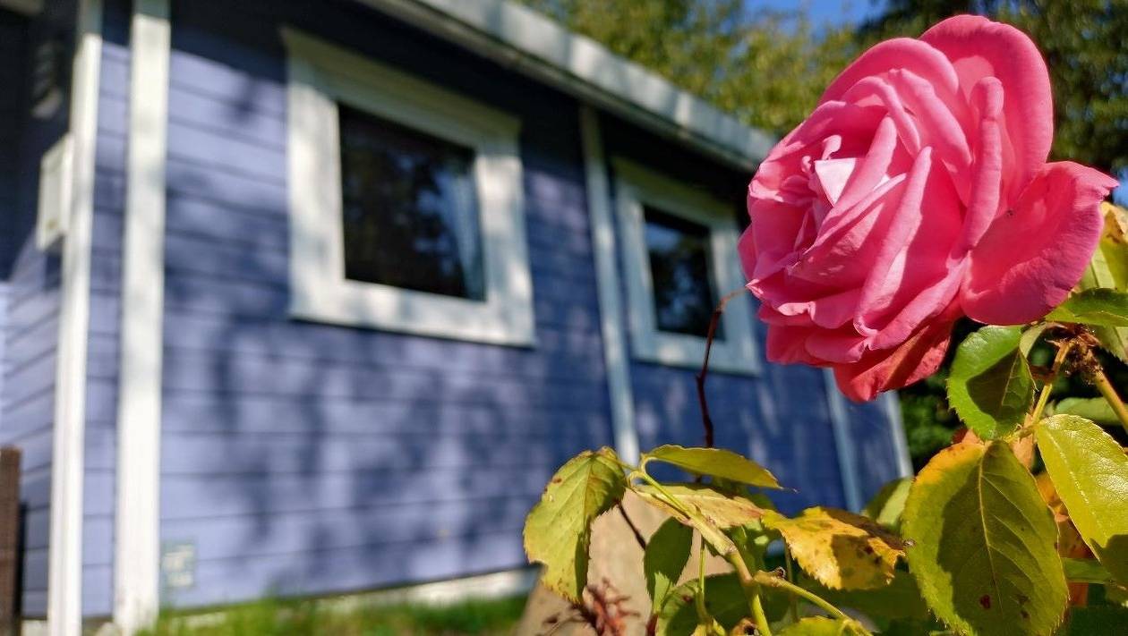 Dieseesucht® - Lodge am Fjord in Westerholz, Schleswig-Flensburg