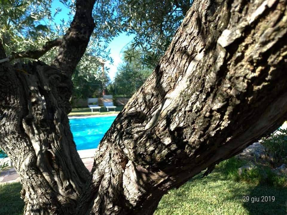 Deluxe Double or Twin Room with Pool View in Trani, Barletta-Andria-Trani