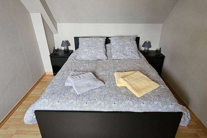 Gîte pour 12 personnes, avec jardin et terrasse à Changé - 3