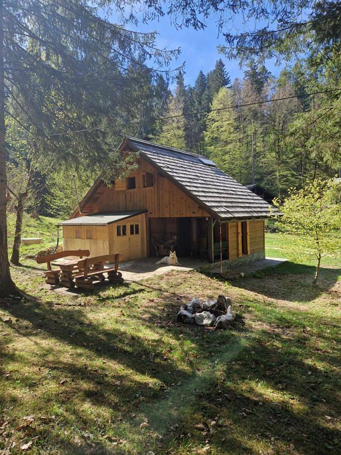 Ferienwohnung für 8 Personen, mit Garten in Bled - 4