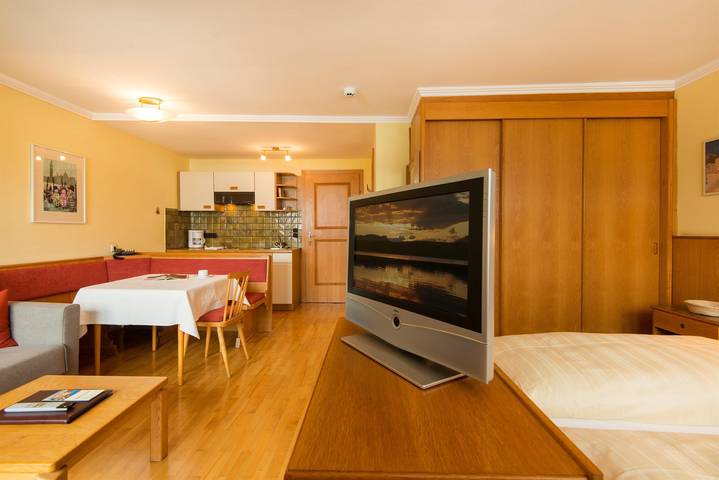 Ganze Ferienwohnung, Appartement/Wohn-Schlafraum/Dusche, Wc in Hohe Tauern, Bad Hofgastein