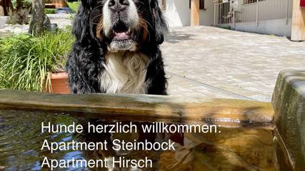 Hütte für 4 Personen in Bad Oberdorf, Bad Hindelang, Bild 1