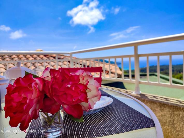 Gîte für 2 Personen, mit Garten auf Korsika - 3