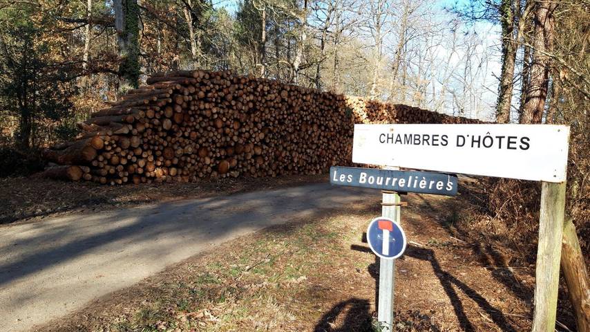 Chambre d’hôte pour 3 personnes, avec piscine et jardin, animaux acceptés à Durtal