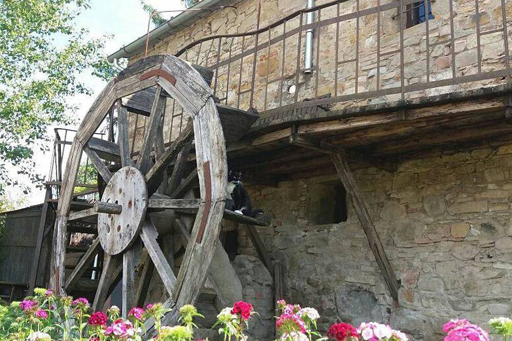 Casa vacanza a Poppi a partire da 85€ a notte