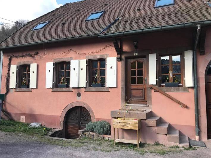 Gîte pour 6 personnes, avec jardin et vue à Steige - 3