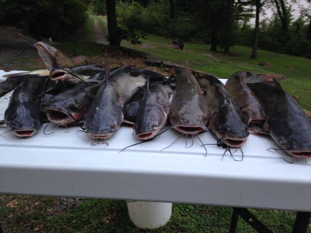 Vacation House for 10 Guests in Ozark Mountains, Oklahoma