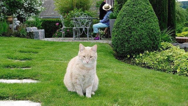 Chambre d'hôtes les Tilleuls - Chambre in Fontaine-sur-Ay, Parc naturel régional de la Montagne de Reims