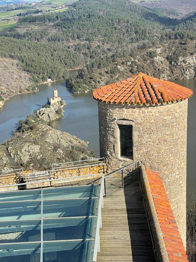 Gîte pour 2 personnes, avec vue sur le lac ainsi que vue et jardin dans Saint-Victor-sur-Loire - 3