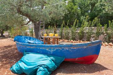 Villa Con Piscina per 7 Persone in Ostuni, Valle D'Itria, Foto 4