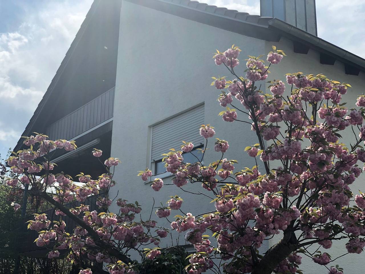 Ganze Ferienwohnung, Daheim in Wörth am Wasserturm - neues Zimmer in Wörth am Rhein, Rheinebene