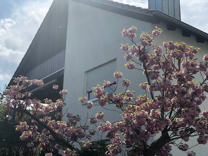 Ganze Ferienwohnung, Daheim in Wörth am Wasserturm - Daheim am Wasserturm in Wörth am Rhein, Rheinebene