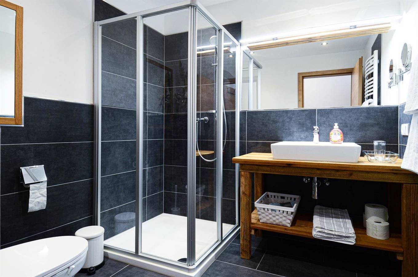Entire holiday apartment, Apartment/1 Schlafraum/Dusche, Wc Traunstein 5 in Abtenau, Tennengau