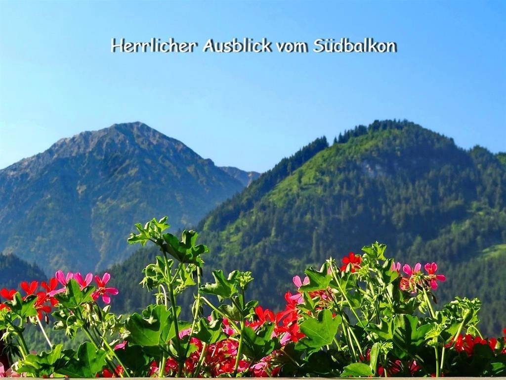 Ganze Ferienwohnung, Ferienwohnung Iseler in Bad Hindelang, Bayerisch Schwaben