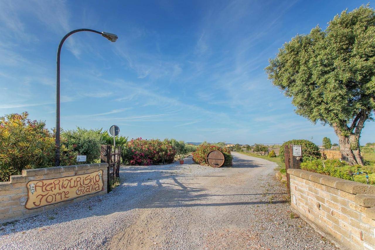 Economy Double Room in Ladispoli, Rom Provinz