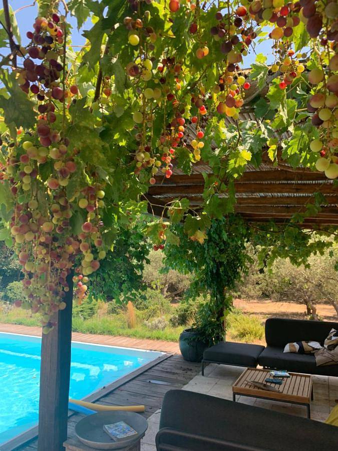 Maison d’hôte pour 2 personnes, avec terrasse ainsi que jardin et piscine à Bonifacio - 3