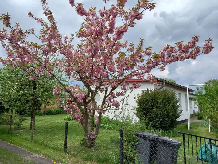 Ferienhaus für 4 Personen mit Garten in Loissin, Vorpommern Greifswald