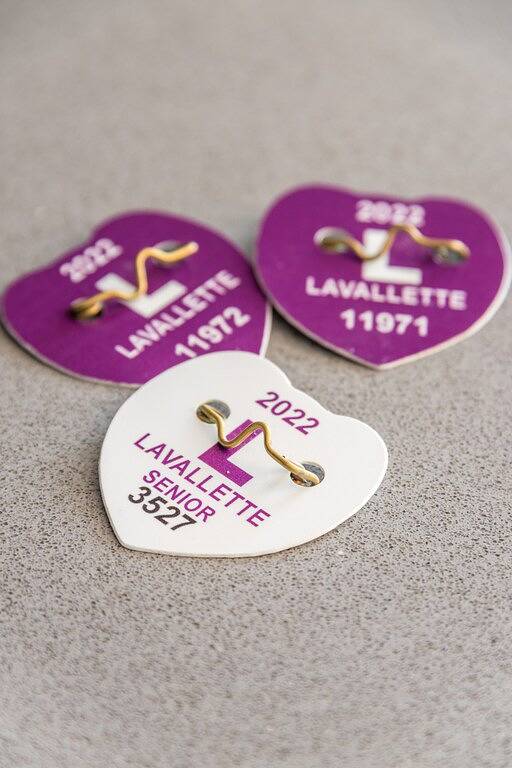 2026 Lavallette New Kitchen and Bathroom, Outdoor Shower & Beach Badges Included in Toms River, Ocean County